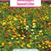 Blumenwiese Blumenteppich Tausendlichter (100 G) | Blumensamen Von Bertrand -Deutschland Wiesen Pracht Verkaufs-Shop 540967 Blumenwiese Tausend Lichter 100 g