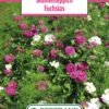 Blumenwiese Blumenteppich Fuchsias (100 G) | Blumensamen Von Bertrand -Deutschland Wiesen Pracht Verkaufs-Shop 540976 Blumenwiese Blumenteppich Fuchsias 100 g