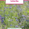 Blumenwiese Farbton Blau (100 G) | Blumensamen Von Bertrand -Deutschland Wiesen Pracht Verkaufs-Shop 540980 Blumenwiese Farbton Blau 100 g