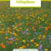 Blumenwiese Frühlingsblumen (100 G) | Blumensamen Von Bertrand -Deutschland Wiesen Pracht Verkaufs-Shop 540988 Blumenwiese Fruehlingsblumen 100 g