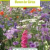 Blumenwiese Frühlingswiese (100 G) | Blumensamen Von Bertrand -Deutschland Wiesen Pracht Verkaufs-Shop 540991 Blumenwiese Blumen der Gaerten 100 g