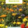 Blumenwiese Ackerwildkräutern (100 G) | Blumensamen Von Bertrand -Deutschland Wiesen Pracht Verkaufs-Shop 540992 Blumenwiese Blumen der Ernten 100 g