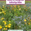 Blumenwiese Blumen Für Steinige Und Kalkhaltige Böden (100 G) | Blumensamen Von Bertrand -Deutschland Wiesen Pracht Verkaufs-Shop 540999 Blumenwiese Blumen fuer steinige und kalkhaltige Boeden 100 g
