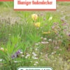 Blumenwiese Blumiger Bodendecker Für Gründächer (100 G) | Blumensamen Von Bertrand -Deutschland Wiesen Pracht Verkaufs-Shop 541006 Blumenwiese Blumiger Bodendecker 100 g