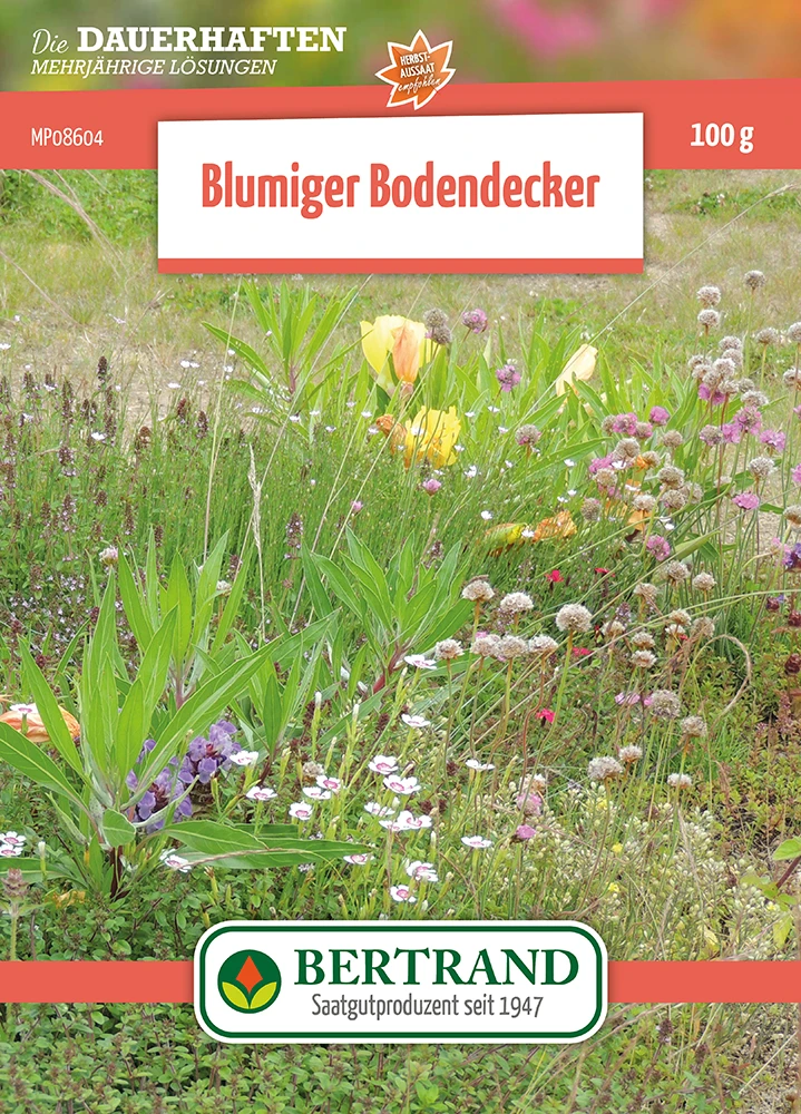 Blumenwiese Blumiger Bodendecker Für Gründächer (100 G) | Blumensamen Von Bertrand 3 Blumenwiese Blumiger Bodendecker Für Gründächer (100 G) | Blumensamen Von Bertrand