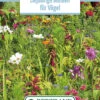 Blumenwiese Einjährige Blumen Für Vögel (100 G) | Blumensamen Von Bertrand 2 Blumenwiese Einjährige Blumen Für Vögel (100 G) | Blumensamen Von Bertrand -Deutschland Wiesen Pracht Verkaufs-Shop 541008 Blumenwiese Einjaehrige Blumen fuer Voegel 100 g