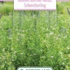 Blumenwiese Schmetterlingswiese (100 G) | Blumensamen Von Bertrand -Deutschland Wiesen Pracht Verkaufs-Shop 541023 Blumenwiese Blumen aus der Natur Schmetterling 100 g