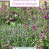 Blumenwiese Staudenmischung Für Schatten &amp; Lichtungen (100 G) | Blumensamen Von Bertrand -Deutschland Wiesen Pracht Verkaufs-Shop 541025 Blumenwiese Blumen aus der Natur Schatten und Lichtungen 100 g