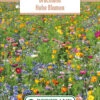 Blumenwiese Brachland Hohe Blumen (100 G) | Blumensamen Von Bertrand 2 Blumenwiese Brachland Hohe Blumen (100 G) | Blumensamen Von Bertrand -Deutschland Wiesen Pracht Verkaufs-Shop 541027 Blumenwiese Brachland Hohe Blumen 100 g