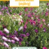 Blumenwiese Duftende Blumen (einjährig) (100 G) | Blumensamen Von Bertrand -Deutschland Wiesen Pracht Verkaufs-Shop 541033 Blumenwiese Duftende Blumen einjaehrig 100 g