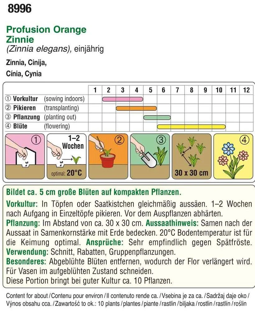 Zinnien Profusion Orange | Zinniensamen Von Austrosaat 3 Zinnien Profusion Orange | Zinniensamen Von Austrosaat