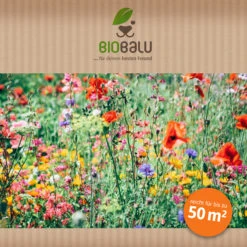 Bienenweide Region Nord-West (mehrjährig, 50 G) | Bienenwiese Von Biobalu -Deutschland Wiesen Pracht Verkaufs-Shop 543483 Bienenweide Region Nord West mehrjaehrig 50 g 3