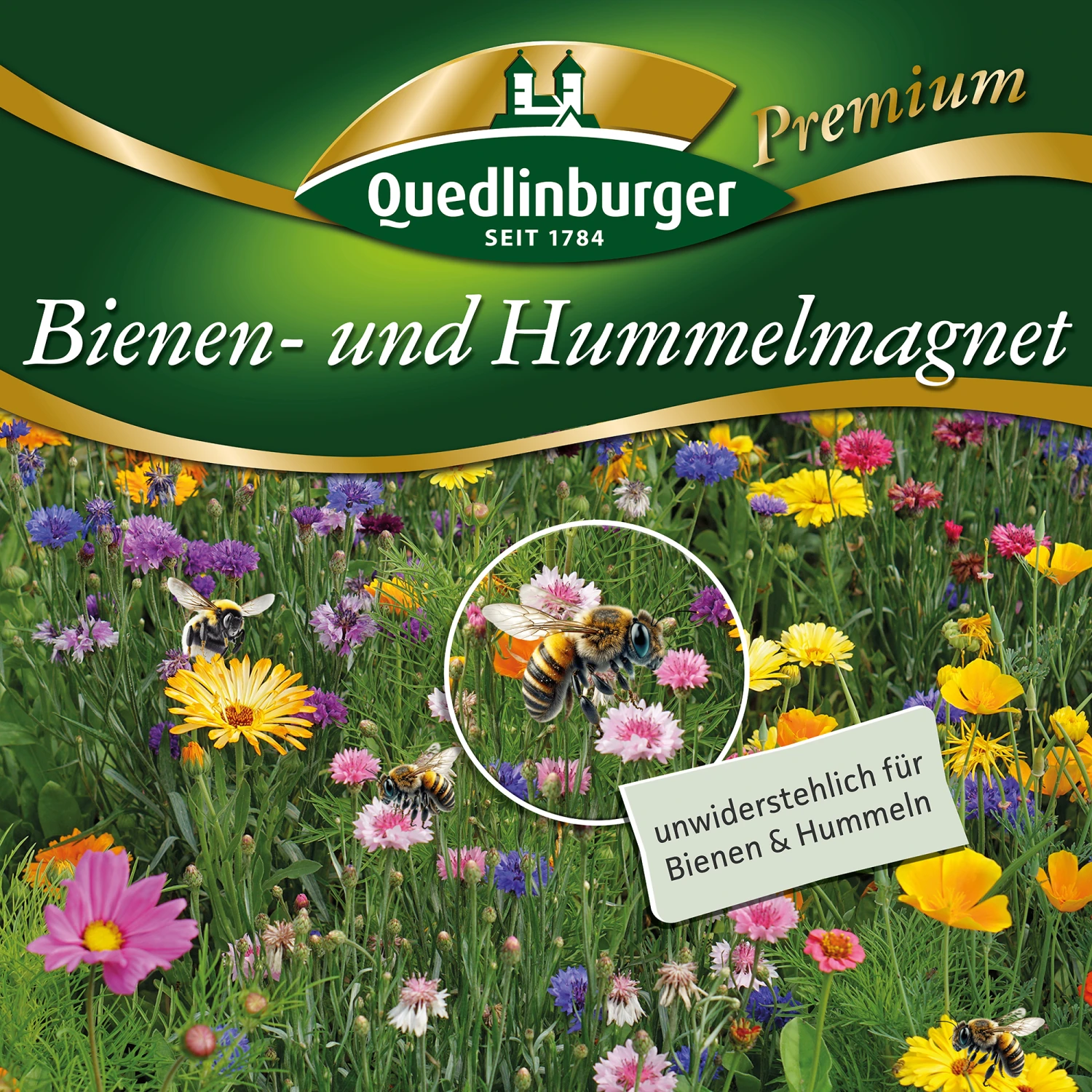 Bienen- Und Hummelmagnet (500 G) | Bienenwiese Von Quedlinburger 5 Bienen- Und Hummelmagnet (500 G) | Bienenwiese Von Quedlinburger – Bild 3