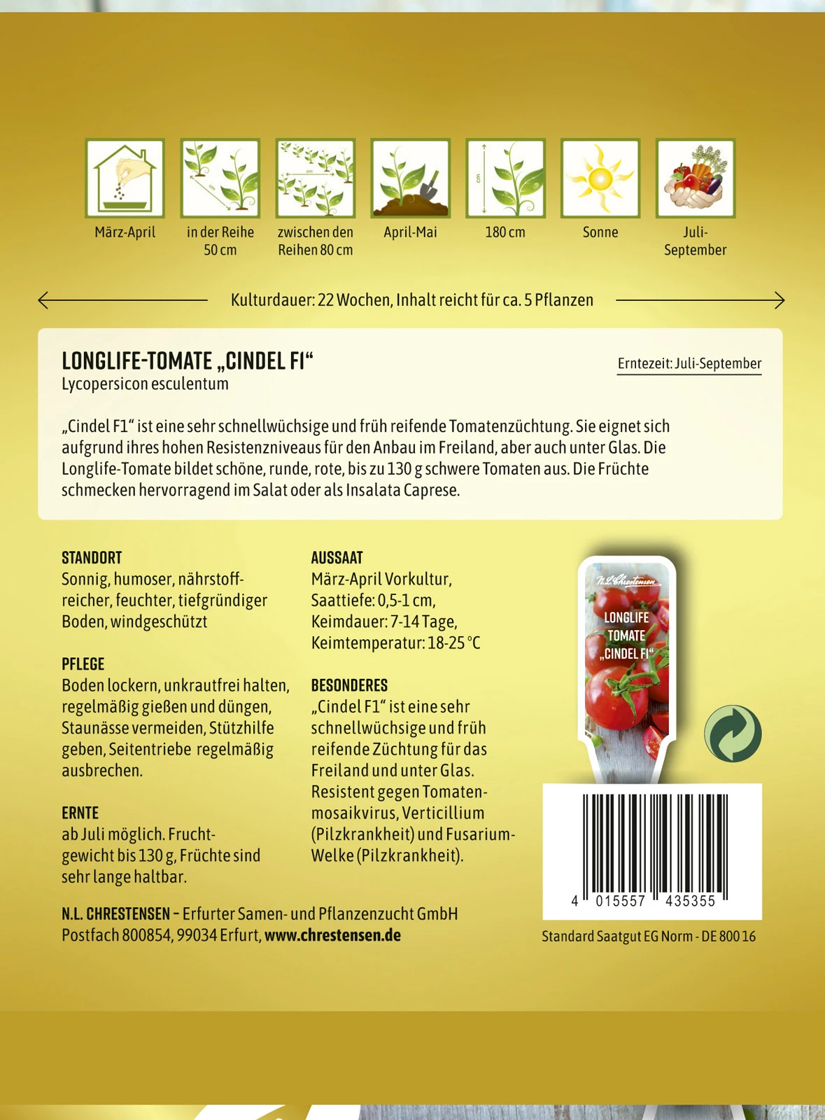 Longlife - Tomate Cindel F1 | Tomatensamen Von N.L. Chrestensen 4 Longlife - Tomate Cindel F1 | Tomatensamen Von N.L. Chrestensen – Bild 2