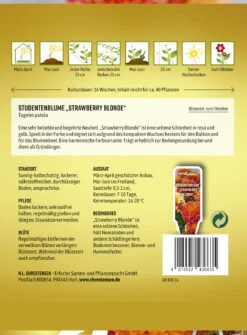 Studentenblume Strawberry Blonde | Studentenblumensamen Von N.L. Chrestensen