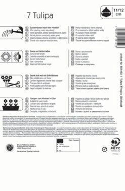 Gefranste Tulpe Golddust (7 Stück) | Tulpenzwiebeln Von Kiepenkerl -Deutschland Wiesen Pracht Verkaufs-Shop 543942 Gefranste Tulpe Golddust 7 Stueck 504493 1