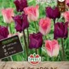 Frühlingsgarten Duet Of Crowns (7 Stück) | Tulpenmischung Von Sperli -Deutschland Wiesen Pracht Verkaufs-Shop 543955 Fruehlingsgarten Duet of Crowns 7 Stueck 464245 0