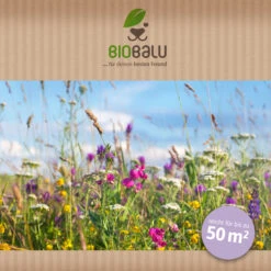 Bienenweide Halbschatten- Und Schattenbereich (50 G) | Bienenwiese Von Biobalu -Deutschland Wiesen Pracht Verkaufs-Shop 546069 Bienenweide Halbschatten und Schattenbereich 50 g 2