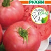 Tomate Rose Crush F1 | Tomatensamen Von Samen Pfann -Deutschland Wiesen Pracht Verkaufs-Shop 546091 Tomate Rose Crush F1 G859 sp 0
