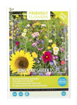 Blumenwiese Mischung (50 M²) | Blumensamenmischung Von Buzzy Seeds