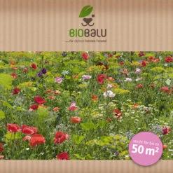 Saatgutmischung Sommerzauber (30 G) | Bienenwiese Von Biobalu 9 Saatgutmischung Sommerzauber (30 G) | Bienenwiese Von Biobalu -Deutschland Wiesen Pracht Verkaufs-Shop 547420 Saatgutmischung Sommerzauber 30 g 1