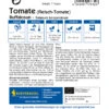 Fleisch - Tomate Buffalosun F1 | Fleischtomatensamen Von Kiepenkerl -Deutschland Wiesen Pracht Verkaufs-Shop 547439 Fleisch Tomate Buffalosun F1 1