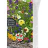 Blumenmischung Sperli’s Heimatschatz | Blumensamenmischung Von Sperli 1 Blumenmischung Sperli’s Heimatschatz | Blumensamenmischung Von Sperli -Deutschland Wiesen Pracht Verkaufs-Shop 547557 Blumenmischung Sperli s Heimatschatz 88528 0