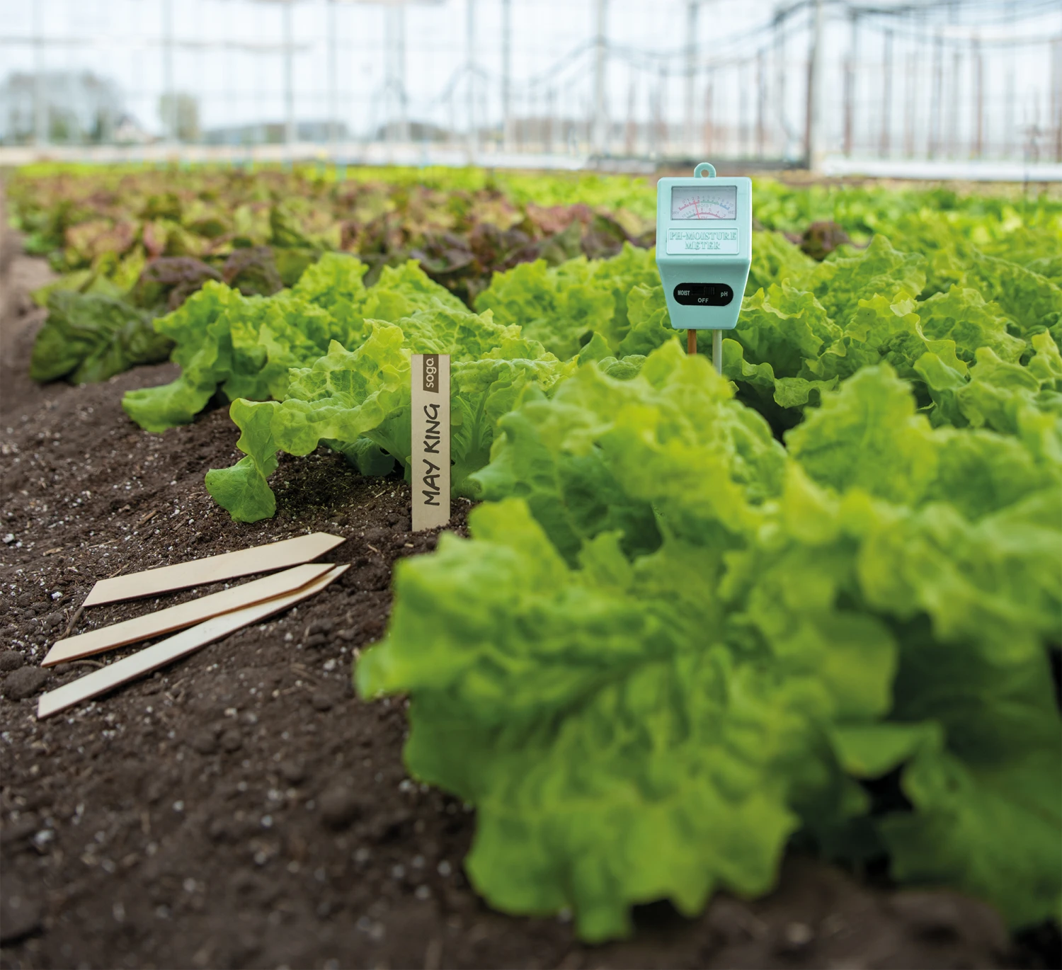 PH Feuchtigkeitsmesser | Gartengeräte Von Sogo 3 PH Feuchtigkeitsmesser | Gartengeräte Von Sogo