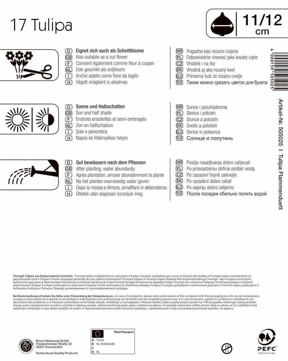 Mega-Pack Flammenduett Triumphtulpe (17 Stück) | Tulpenzwiebeln Von Kiepenkerl 3 Mega-Pack Flammenduett Triumphtulpe (17 Stück) | Tulpenzwiebeln Von Kiepenkerl