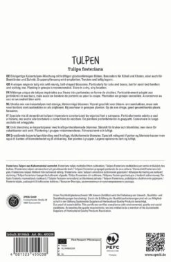 Tulpe Mischung (10 Stück) | Fosteriana-Tulpen Von Sperli