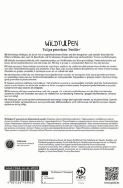 Deutschland Wiesen Pracht Verkaufs-Shop -Deutschland Wiesen Pracht Verkaufs-Shop 549453 Wildtulpe Fuselier 7 Stueck 455922 1