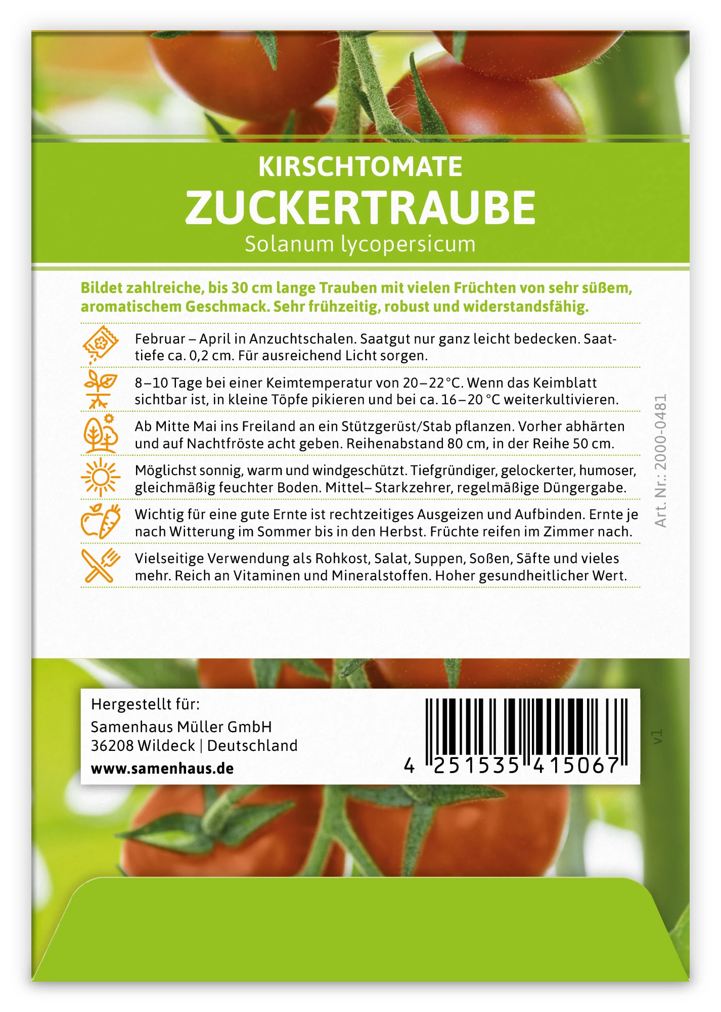 Kirschtomate Zuckertraube (100 Stück) | Kirschtomatensamen Von FLORTUS 4 Kirschtomate Zuckertraube (100 Stück) | Kirschtomatensamen Von FLORTUS – Bild 2