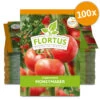 Tomate Moneymaker (100 Stück) | Tomatensamen Von FLORTUS -Deutschland Wiesen Pracht Verkaufs-Shop 549868 Tomate Moneymaker 100 Stueck 2000 0485 100x 0