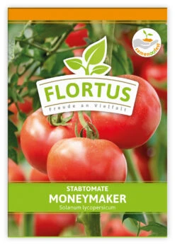 Tomate Moneymaker (100 Stück) | Tomatensamen Von FLORTUS -Deutschland Wiesen Pracht Verkaufs-Shop 549868 Tomate Moneymaker 100 Stueck 2000 0485 100x 1