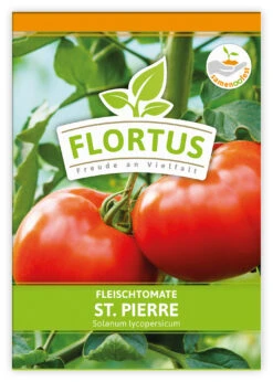 Fleischtomate St. Pierre (100 Stück) | Fleischtomatensamen Von FLORTUS -Deutschland Wiesen Pracht Verkaufs-Shop 549879 Fleischtomate St Pierre 100 Stueck 2000 0496 100x 1
