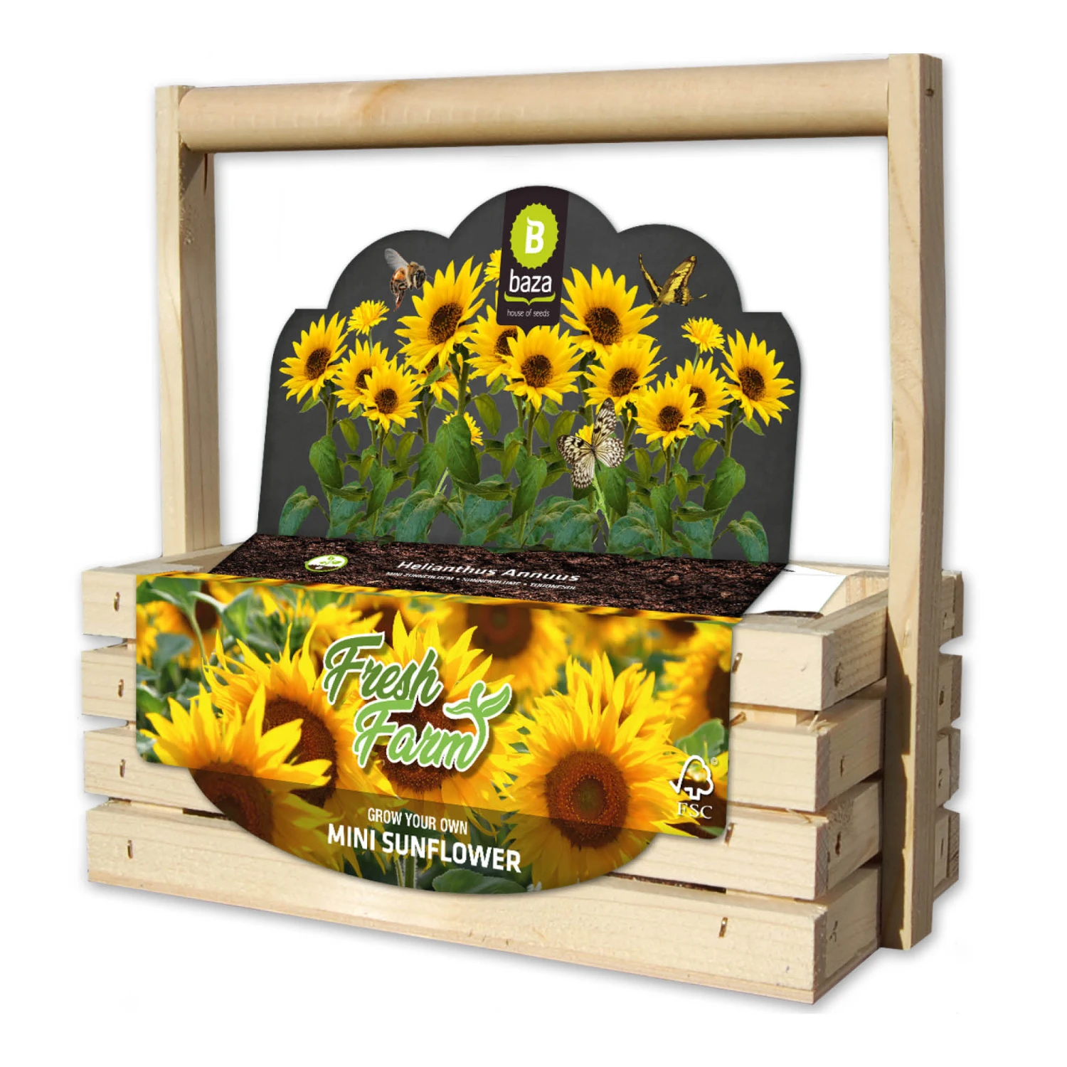 Fresh-Farm Sonnenblume Mini | Anzuchtsets Von Baza 3 Fresh-Farm Sonnenblume Mini | Anzuchtsets Von Baza