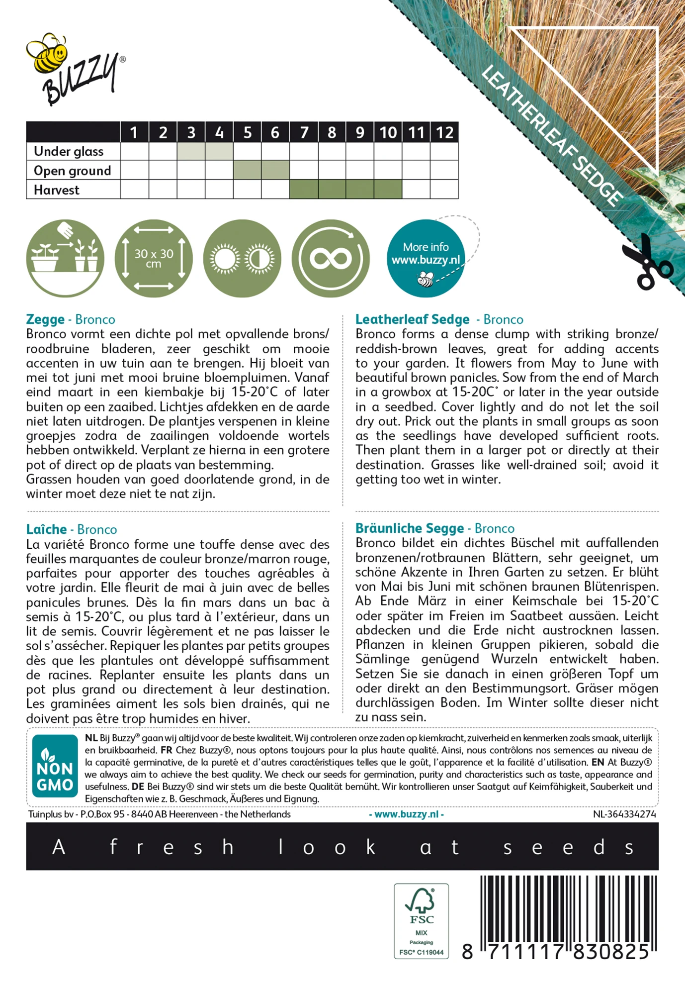 Bräunliche Segge Bronco | Ziergrassamen Von Buzzy Seeds 3 Bräunliche Segge Bronco | Ziergrassamen Von Buzzy Seeds