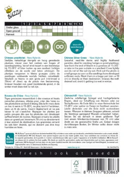 Chinaschilf New Hybrids | Chinaschilfsamen Von Buzzy Seeds