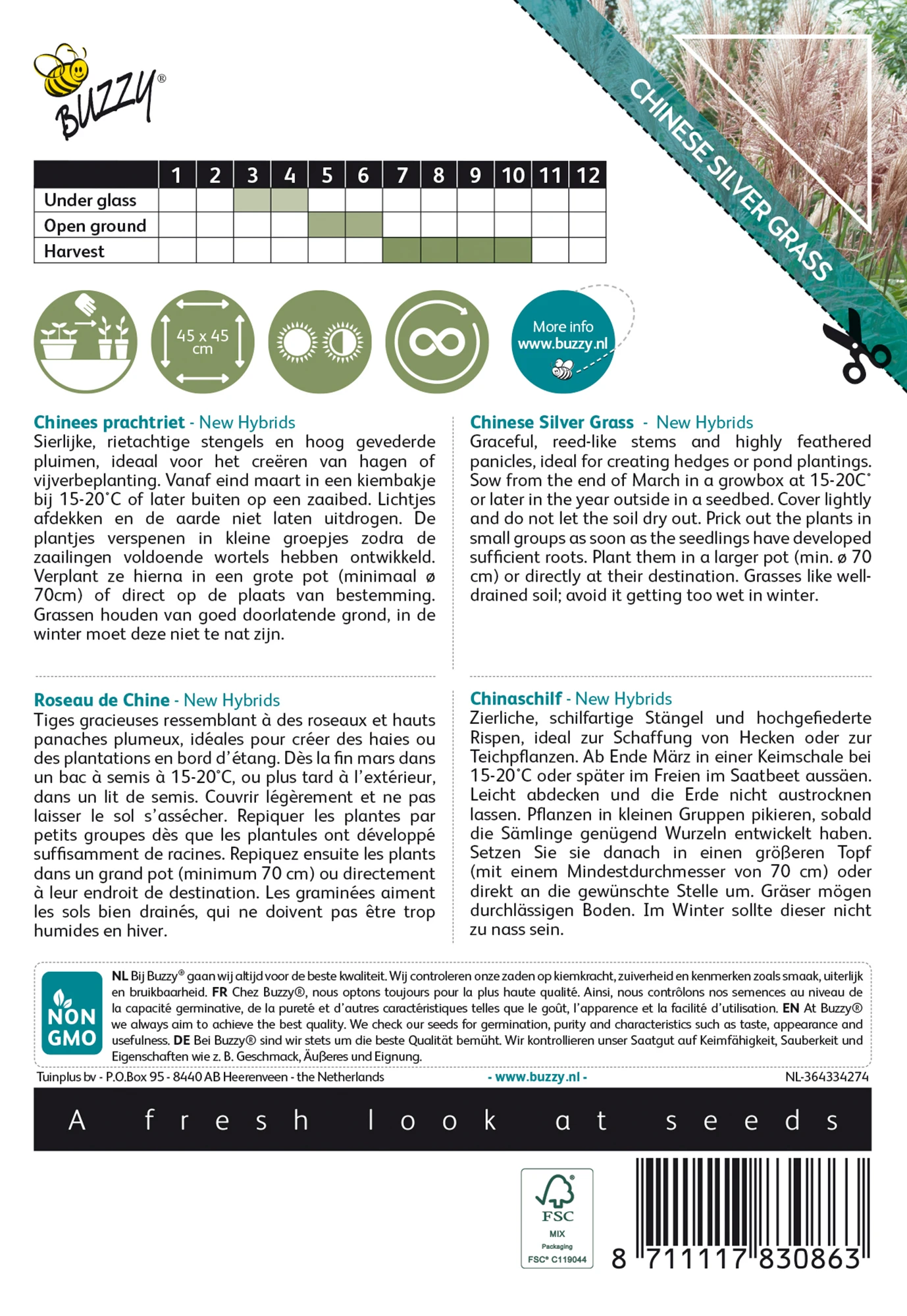 Chinaschilf New Hybrids | Chinaschilfsamen Von Buzzy Seeds 3 Chinaschilf New Hybrids | Chinaschilfsamen Von Buzzy Seeds