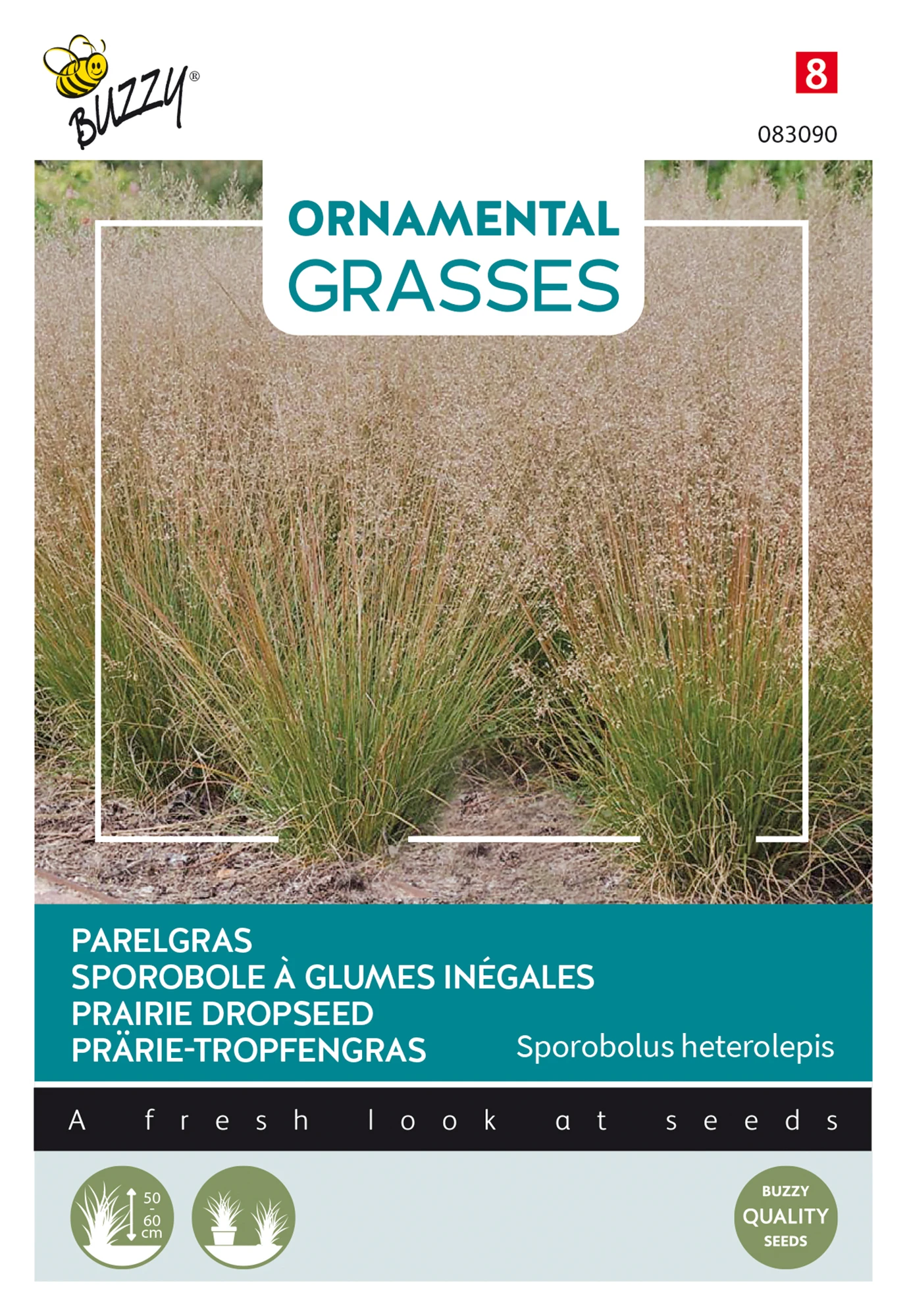 Prärie-Tropfengras | Ziergrassamen Von Buzzy Seeds 3 Prärie-Tropfengras | Ziergrassamen Von Buzzy Seeds