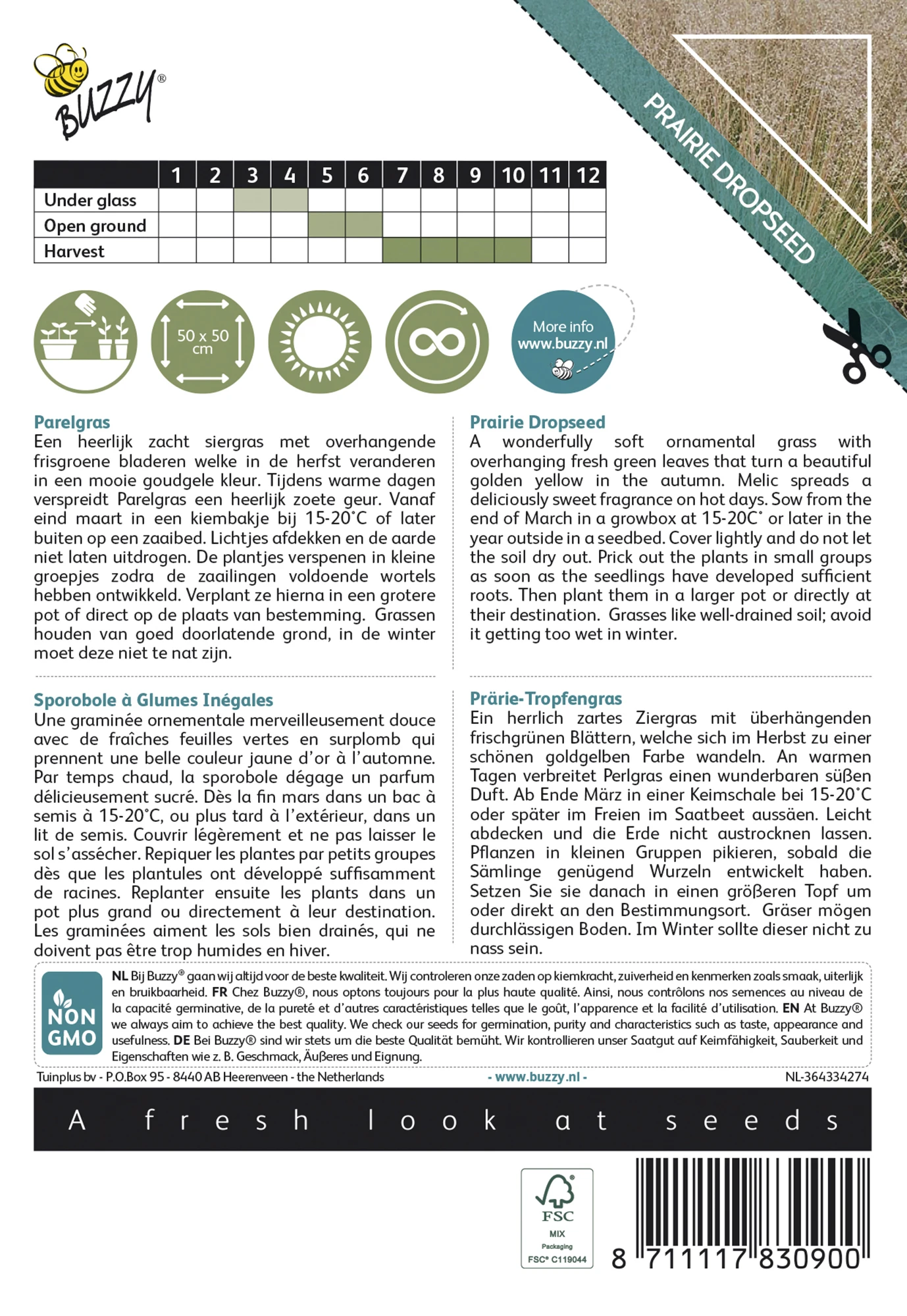 Prärie-Tropfengras | Ziergrassamen Von Buzzy Seeds 4 Prärie-Tropfengras | Ziergrassamen Von Buzzy Seeds – Bild 2