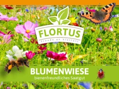 Blumenwiese (1/2 L Doypack) | Blumenwiese Von FLORTUS 11 Blumenwiese (1/2 L Doypack) | Blumenwiese Von FLORTUS -Deutschland Wiesen Pracht Verkaufs-Shop 551641 Blumenwiese 1 2 Liter Doypack 2000 0186 1