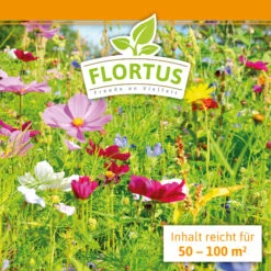 Blumenwiese (1/2 L Doypack) | Blumenwiese Von FLORTUS 13 Blumenwiese (1/2 L Doypack) | Blumenwiese Von FLORTUS -Deutschland Wiesen Pracht Verkaufs-Shop 551641 Blumenwiese 1 2 Liter Doypack 2000 0186 3