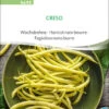 Wachsbohne Creso | BIO Bohnensamen Von Sativa Rheinau -Deutschland Wiesen Pracht Verkaufs-Shop 551660 BIO Wachsbohne Creso bo43 sr 0