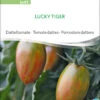 Datteltomate Lucky Tiger | BIO Stabtomatensamen Von Sativa Rheinau 1 Datteltomate Lucky Tiger | BIO Stabtomatensamen Von Sativa Rheinau -Deutschland Wiesen Pracht Verkaufs-Shop 551676 BIO Datteltomate Lucky Tiger to97 sr 0