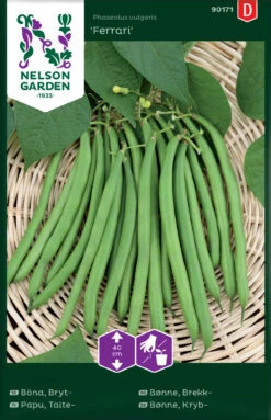 Zwerggartenbohne Ferrari | Bohnensamen Von Nelson Garden