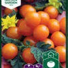Kirschtomate Sungold F1 | Kirschtomatensamen Von Nelson Garden 2 Kirschtomate Sungold F1 | Kirschtomatensamen Von Nelson Garden -Deutschland Wiesen Pracht Verkaufs-Shop 552227 Kirschtomate Sungold F1 91706 ng 0