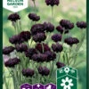 Kornblume Black Boy | Kornblumensamen Von Nelson Garden -Deutschland Wiesen Pracht Verkaufs-Shop 552238 Kornblume Black Boy 93362A ng 0