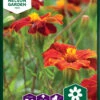 Ringelblumen Linnaeus | Ringelblumensamen Von Nelson Garden -Deutschland Wiesen Pracht Verkaufs-Shop 552247 Ringelblumen Linnaeus 95644A ng 0