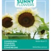 Sonnenblume White Moon F1 | Sonnenblumensamen Von Buzzy Seeds -Deutschland Wiesen Pracht Verkaufs-Shop 552553 Sonnenblume White Moon F1 80827 by 0